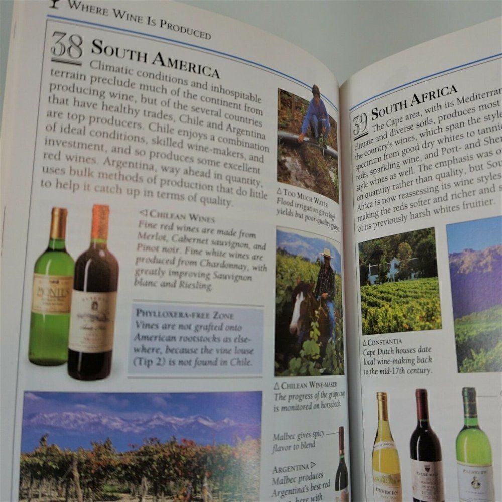 Wine 101 Essential Tips DK Books 2003 Color Paperback - Picture 5 of 7